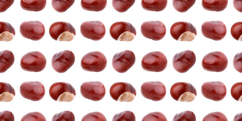 Seamless pattern of horse chestnuts displaying rich autumnal hues on white background