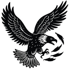 Black and White Eagle Illustration: Detailed Vector Image of Bird with Feathers for Graphic Design and Wildlife Art Projects