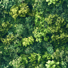 Seamless Jungle Canopy Texture – Top-Down Tropical Forest Foliage Pattern