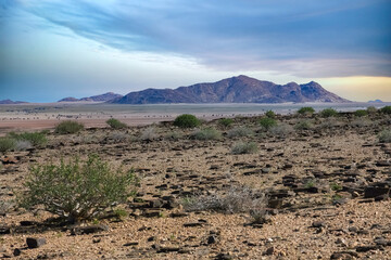 Namibia, panorama of the Namib desert.