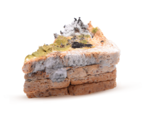  spoiled bread food  on transparent.