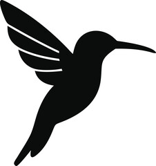 Hummingbird line art 