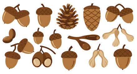 Collection of Autumn Nuts and Seeds Acorns, Pine Cones, and More