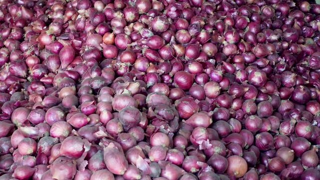 A view of onions piled up for sale. A pile of large red onions in a warehouse.