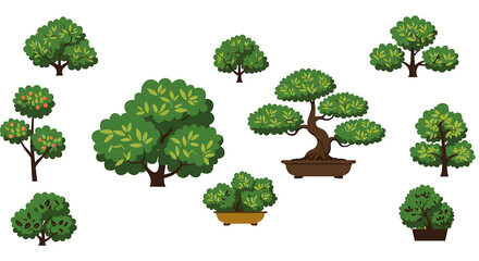 Fototapeta premium Collection of Diverse Tree Illustrations Bonsai, Fruit Trees, and Lush Foliage