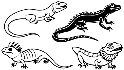 coloring drawing of wildlife for illustration and kids