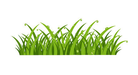 Fototapeta premium Vibrant Green Grass Illustration Lush Meadow Clipart for Design Projects