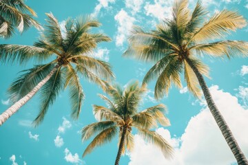 Tropical palm trees dancing beneath a vibrant blue sky, evoking nostalgic summer feelings, ideal for travel fans and beach enthusiasts dreaming of their perfect getaway