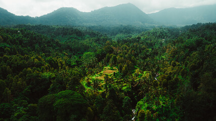 Majestic aerial shot of a cascading waterfall in a lush rainforest, with mist rising from the water...