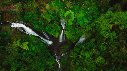 Majestic aerial shot of a cascading waterfall in a lush rainforest, with mist rising from the water and dense greenery surrounding the scene , Bali, Indonesia	

