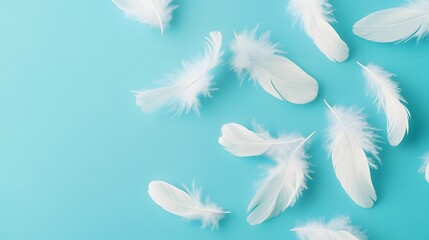 Obraz premium Graceful Feather Flurry Against Serene Blue Background