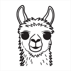 Adorable Alpaca Grazing in Mountain Meadow