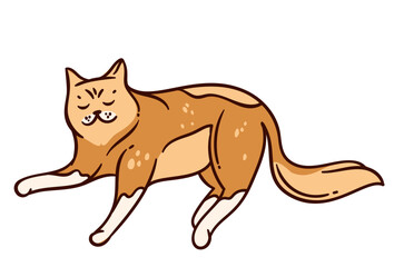 Color doodle cat lounges peacefully on the ground. Vector illustration of relaxed ginger cat with a playful design