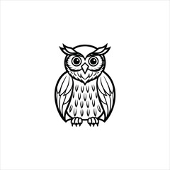 owl on white background