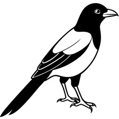 Elegant Magpie in One-Line Vector Design
