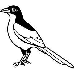 Elegant Magpie in One-Line Vector Design