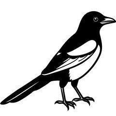 Elegant Magpie in One-Line Vector Design