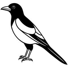 Obraz premium Elegant Magpie in One-Line Vector Design