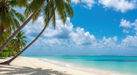 Tropical beach with palm trees white sand and turquoise water under a blue sky.