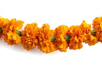 Orange Marigold Garland on a White Background