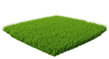 Square patch of green grass on a white background isolated.