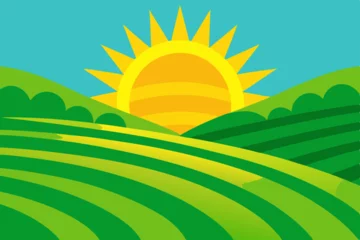  landscape with sun and grass © Team