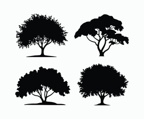 Alder Tree Silhouette Collection Vector Template