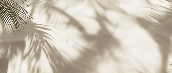 Palm shadows on a light surface