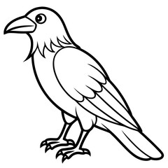 Elegant One-Line Crow Vector Drawing