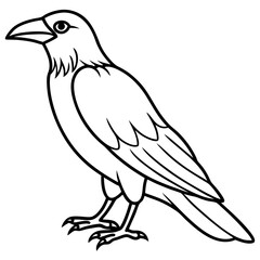 Elegant One-Line Crow Vector Drawing