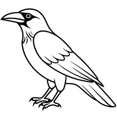 Elegant One-Line Crow Vector Drawing