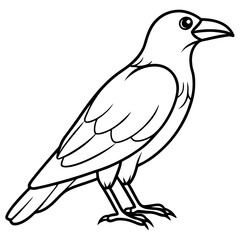 Elegant One-Line Crow Vector Drawing