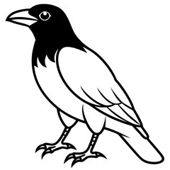 Elegant One-Line Crow Vector Drawing