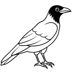 Elegant One-Line Crow Vector Drawing