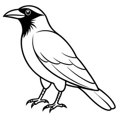 Elegant One-Line Crow Vector Drawing