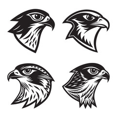Fototapeta premium Detailed falcon head outline silhouette vector illustration