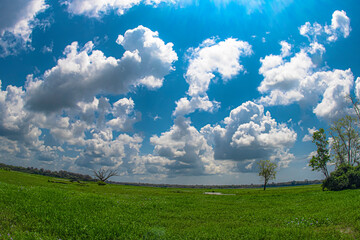 green grass and blue sky