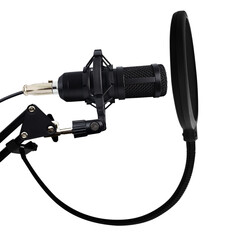 Professional Microphone with Adjustable Arm Stand on transparent background png