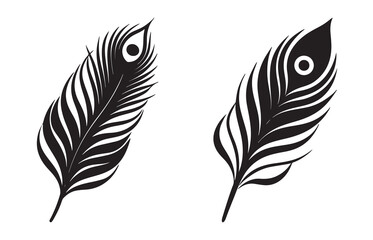 Single peacock feather bold line black and white vector © Adventure