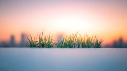 Naklejka premium Green Grass Blades at Sunset Over City Skyline