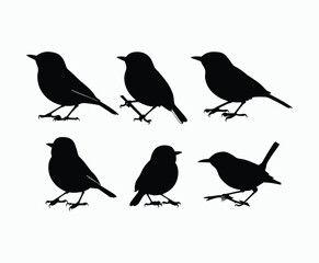 EPS Template of Yellow Rumped Warbler Silhouette Isolated