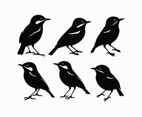 Obraz premium Yellow Rumped Warbler Bird EPS Silhouette Template Illustration
