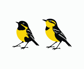 Yellow Rumped Warbler Silhouette Vector Template Illustration