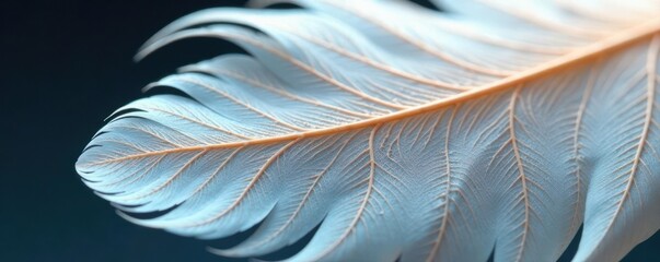 Fototapeta premium Intricate vein structure; translucent white feather, fine detail , natural, wispy, gossamer
