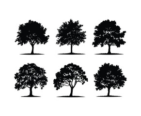 Fototapeta premium Apple Tree Silhouette Vector EPS Template
