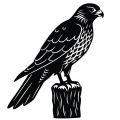 Fototapeta premium Black & White Falcon Illustration: Detailed Vector Image of a Bird of Prey Perched on a Stump, Wildlife Art, Nature Graphic, Birdwatching Icon