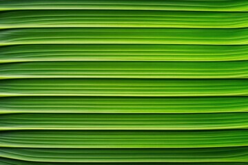 Close-up of vibrant green leaf veins