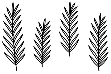 Fir Branch Sketch Style Vector Set