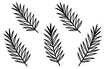 Fir Branch Sketch Style Vector Set