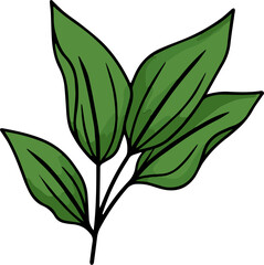 Naklejka premium green leaf isolated on white background